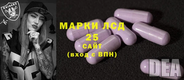 стафф Алзамай
