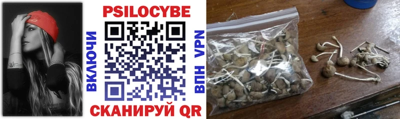 продажа наркотиков  Узловая  Галлюциногенные грибы мицелий 